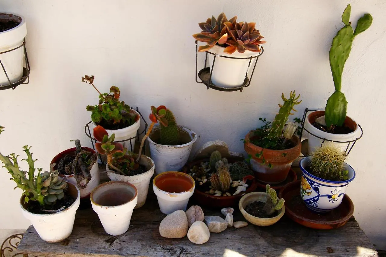 Bed & Breakfast Finca Mil Estrellas Alhaurin el Grande