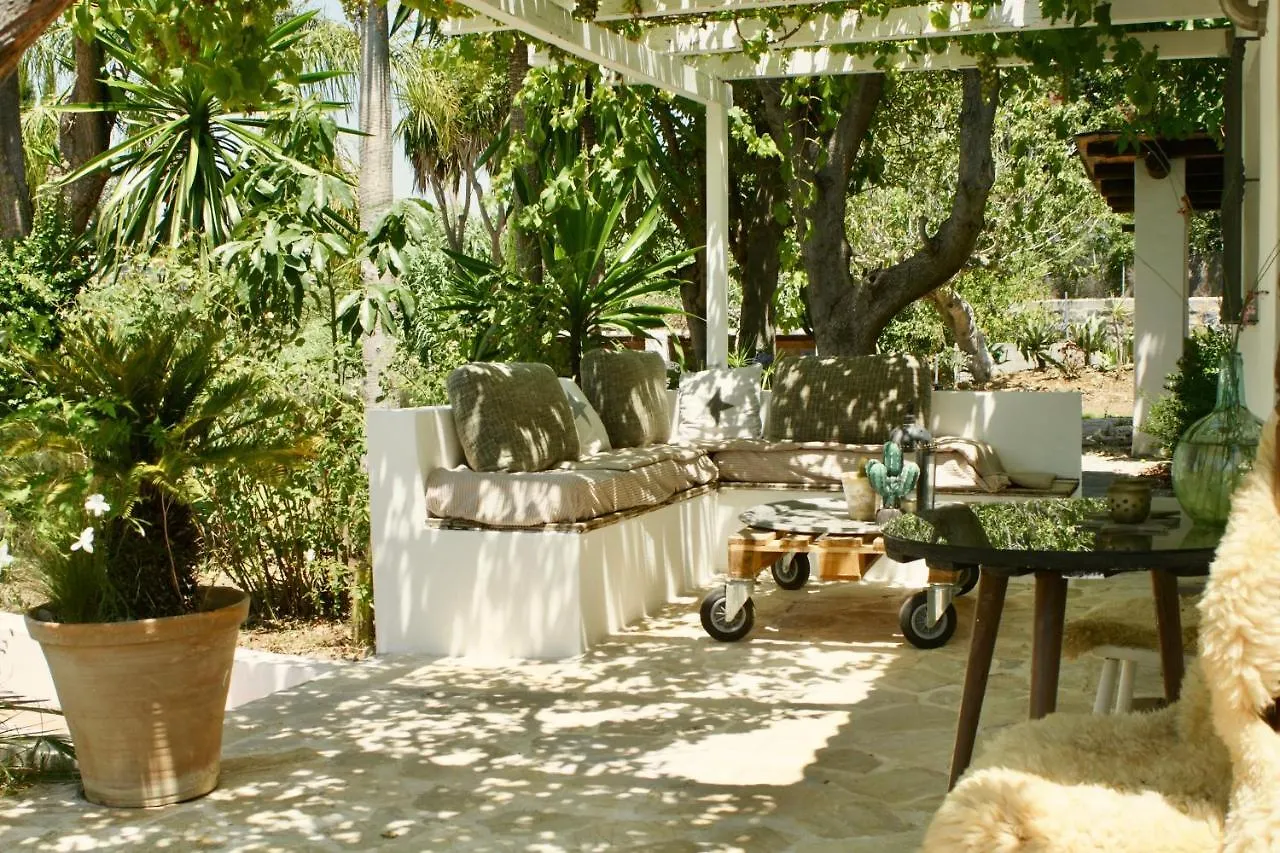 Finca Mil Estrellas Alhaurin el Grande Bed & Breakfast