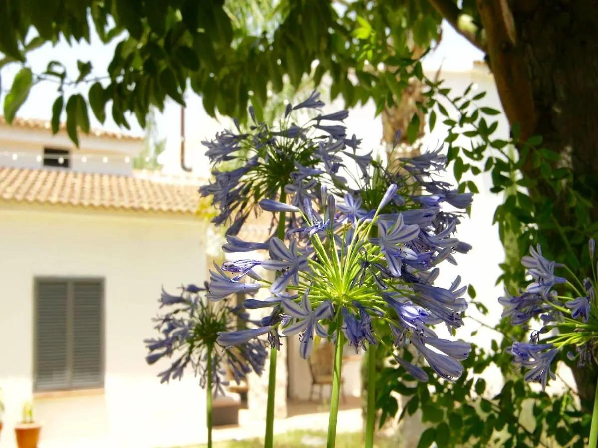 *** Bed & Breakfast Finca Mil Estrellas Alhaurin el Grande Spain