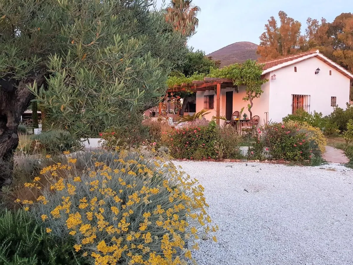 Bed & Breakfast Finca Mil Estrellas Alhaurin el Grande