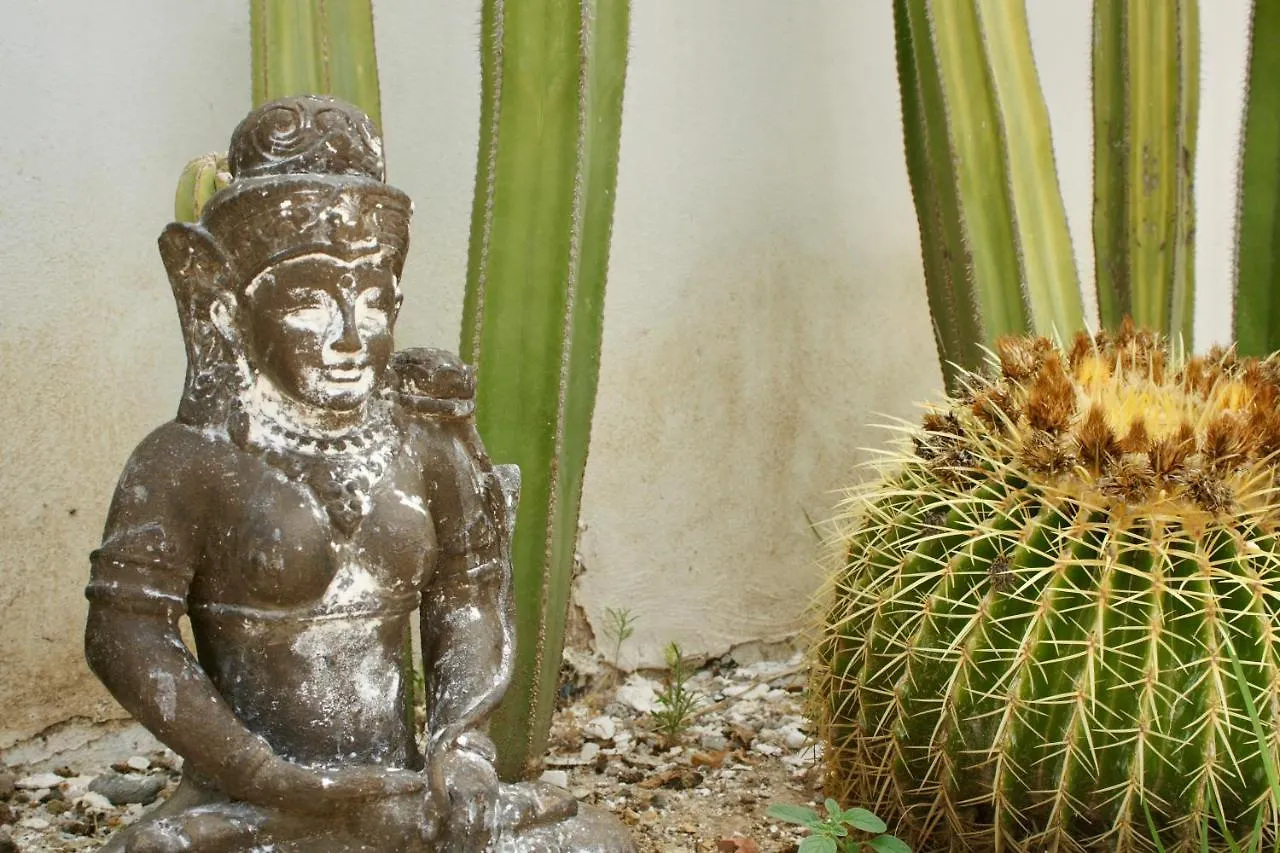 Finca Mil Estrellas Alhaurin el Grande Bed & Breakfast