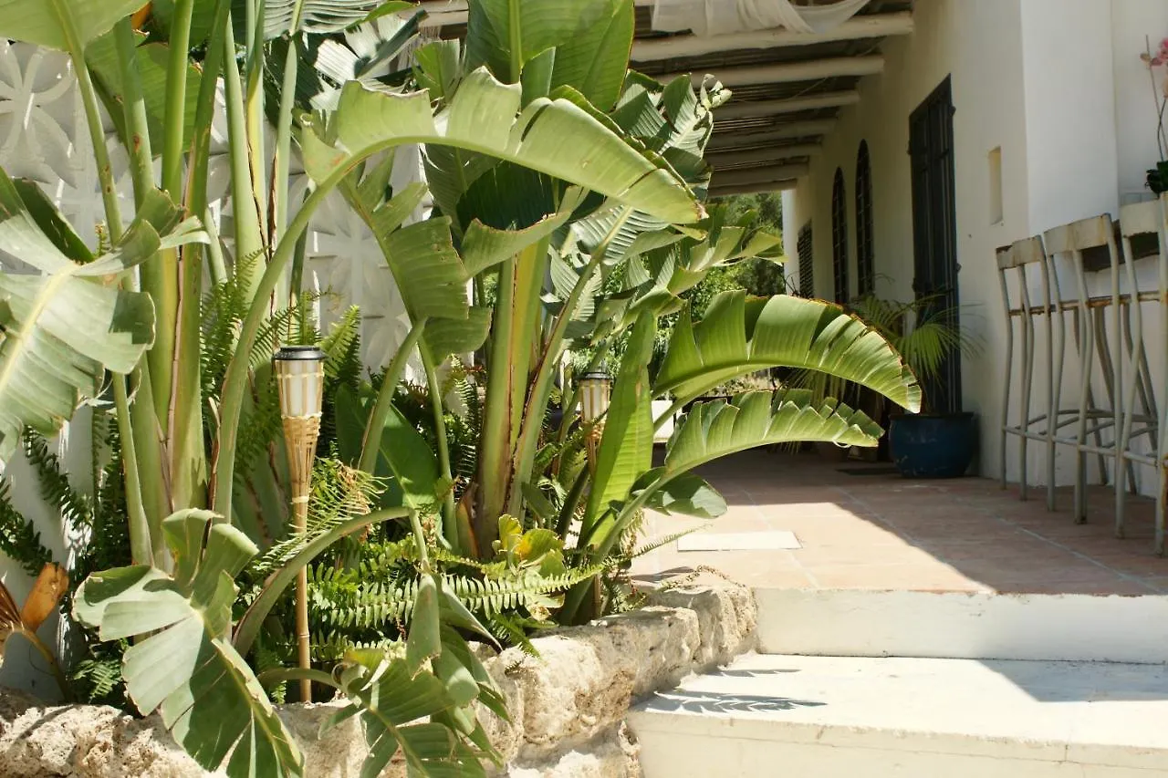 Finca Mil Estrellas Alhaurín el Grande Bed and breakfast
